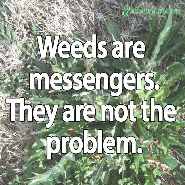 Weeds are messengers