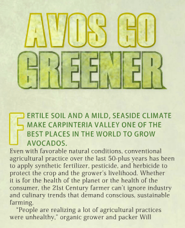 Avos go greener