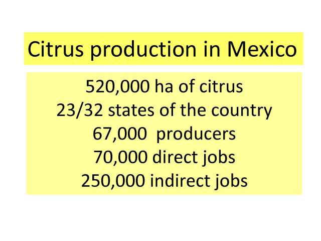 Manejo integral limon 17 nov 2012 English_Page_02