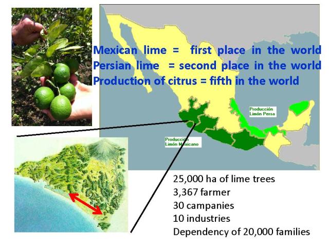 Manejo integral limon 17 nov 2012 English_Page_04
