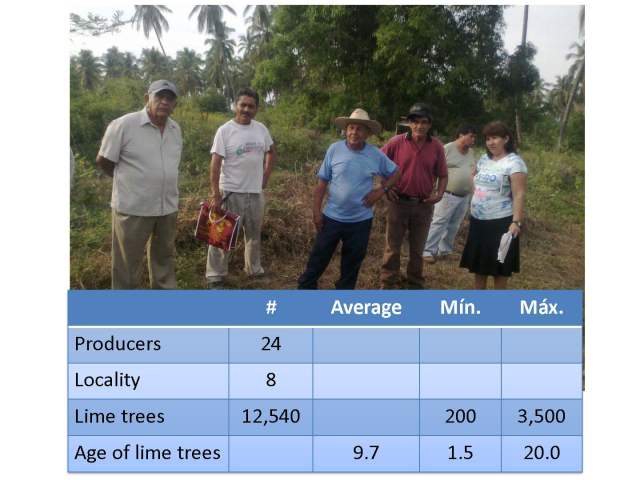 Manejo integral limon 17 nov 2012 English_Page_09