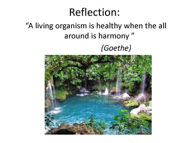 Manejo integral limon 17 nov 2012 English_Page_10