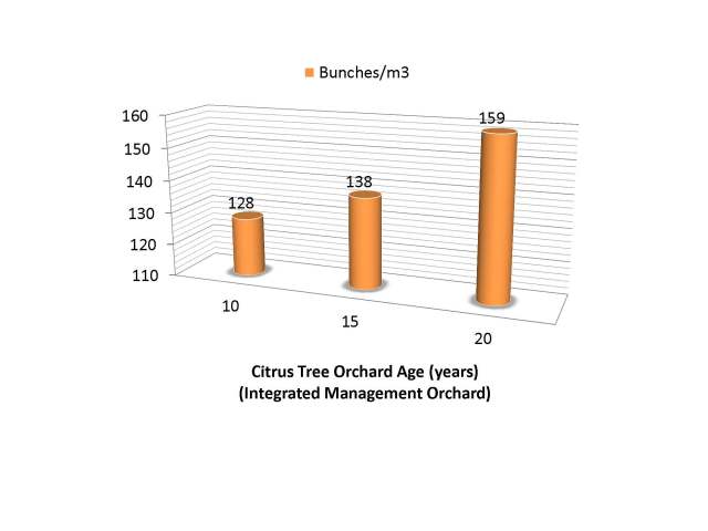 Manejo integral limon 17 nov 2012 English_Page_20
