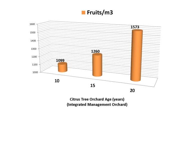 Manejo integral limon 17 nov 2012 English_Page_21