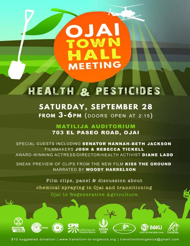 Townhall 8.5x11 for print(1)