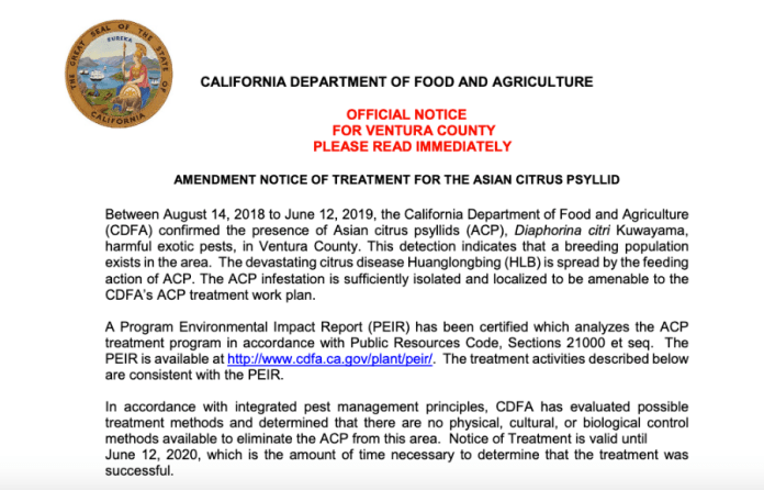 Screen Shot 2019-09-17 at 12.38.52 PM